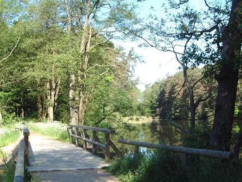 seecamping-weichselbrunn-bodenwhr-igbgg