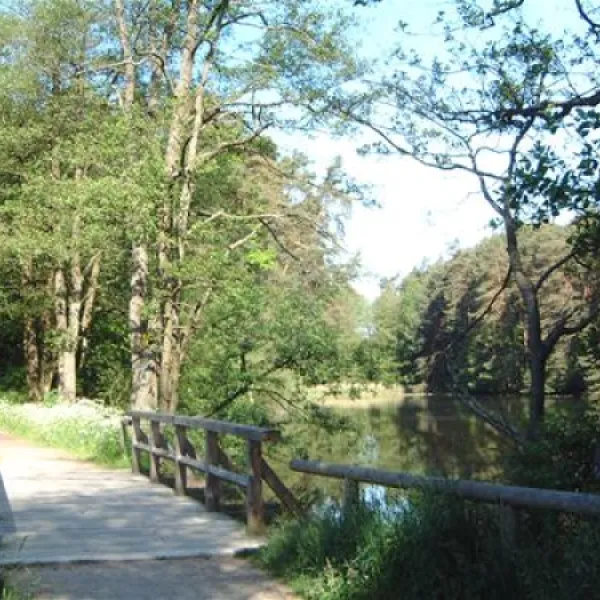 seecamping-weichselbrunn-bodenwhr-igbgg