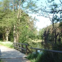 seecamping-weichselbrunn-bodenwhr-igbgg