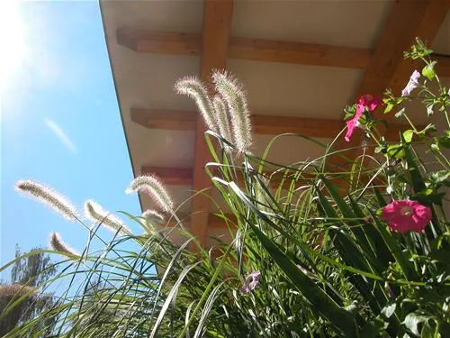 seecamping-weichselbrunn-bodenwhr-mitzn