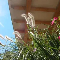 seecamping-weichselbrunn-bodenwhr-mitzn