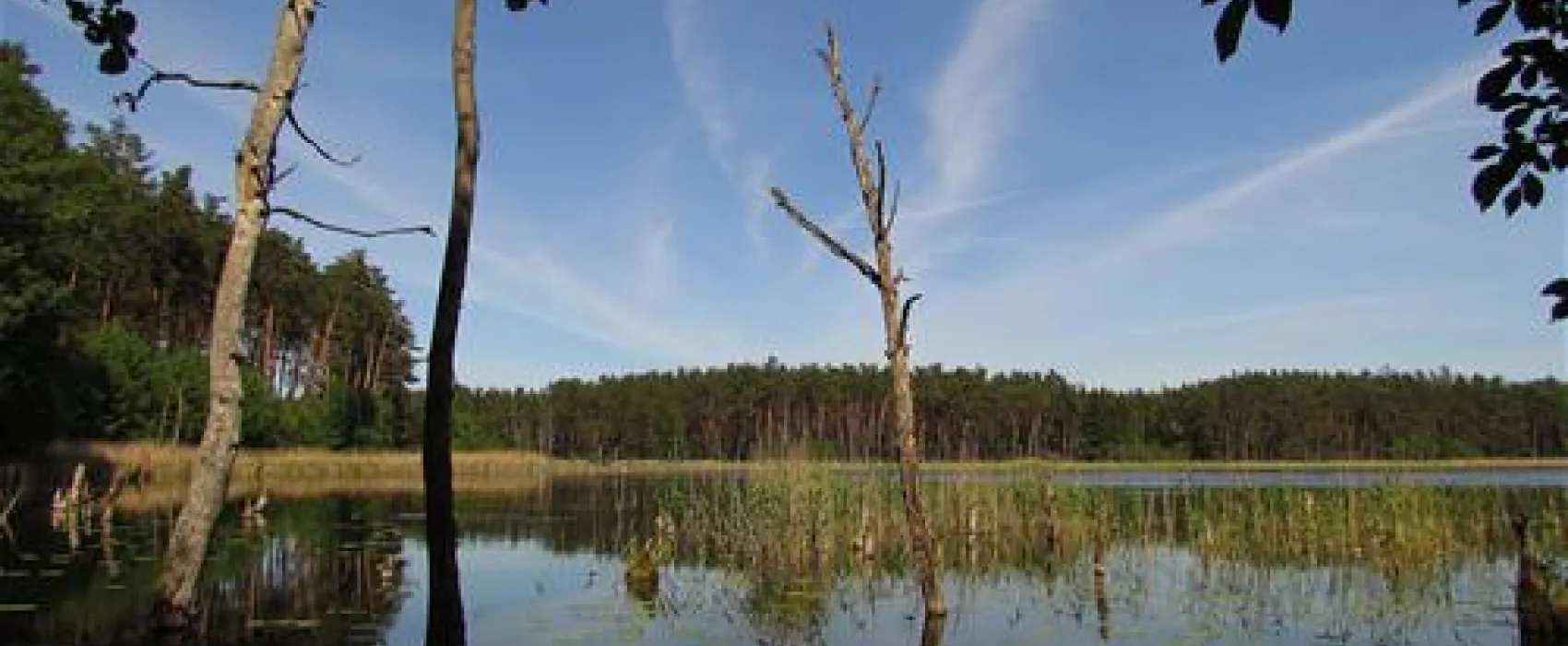 Camping zur hohlen Eiche