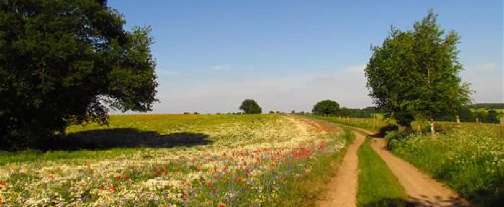 Camping zur hohlen Eiche
