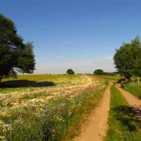 camping-zur-hohlen-eiche-klockow-bnbyc