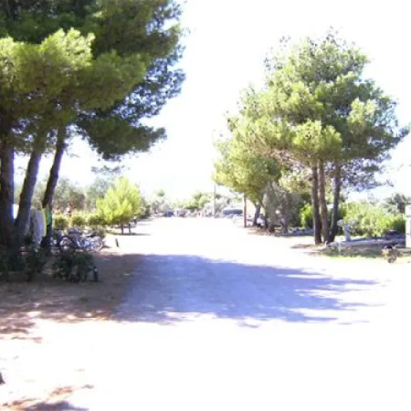 camping-kovacine-cres-197ip