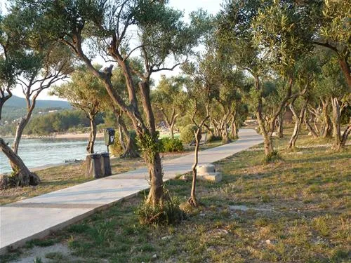camping-kovacine-cres-shdz9