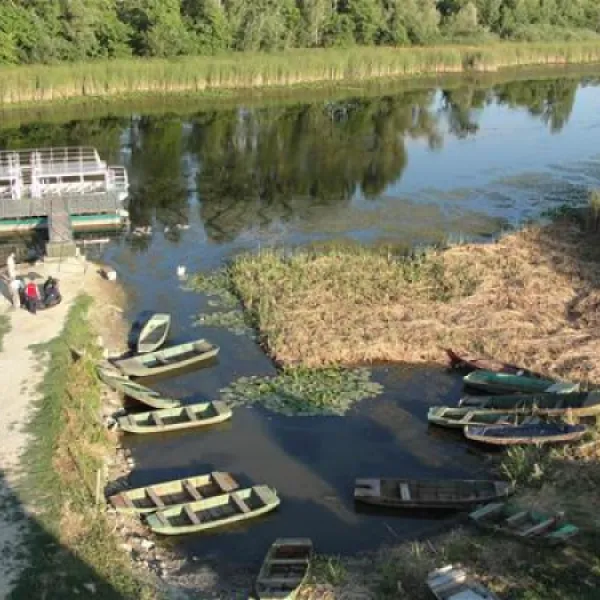 camping-zasavica-sremska-mitrovica-zasavica-ii-0ugty