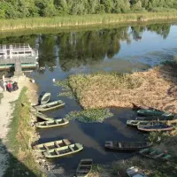 camping-zasavica-sremska-mitrovica-zasavica-ii-0ugty