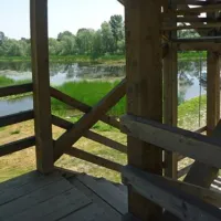 camping-zasavica-sremska-mitrovica-zasavica-ii-1tgk8