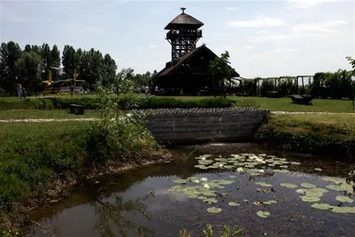 camping-zasavica-sremska-mitrovica-zasavica-ii-2dx2w