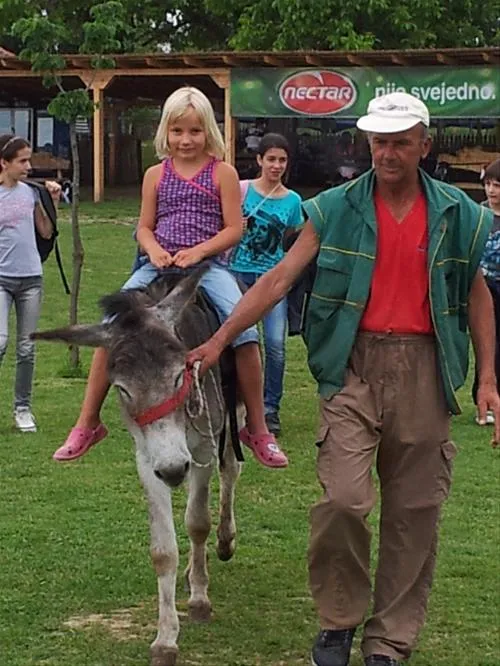 camping-zasavica-sremska-mitrovica-zasavica-ii-alaoh