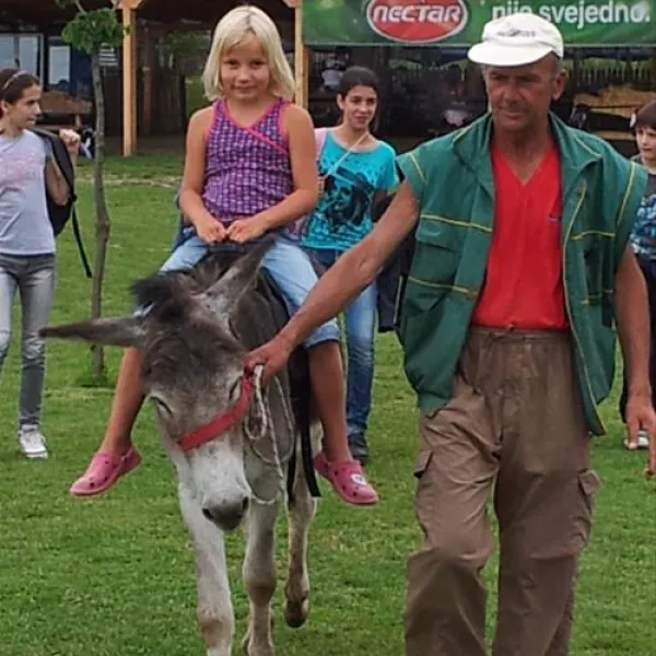 camping-zasavica-sremska-mitrovica-zasavica-ii-alaoh