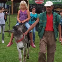 camping-zasavica-sremska-mitrovica-zasavica-ii-alaoh