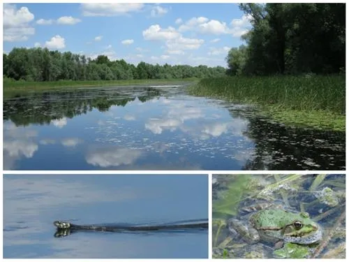 camping-zasavica-sremska-mitrovica-zasavica-ii-bblco