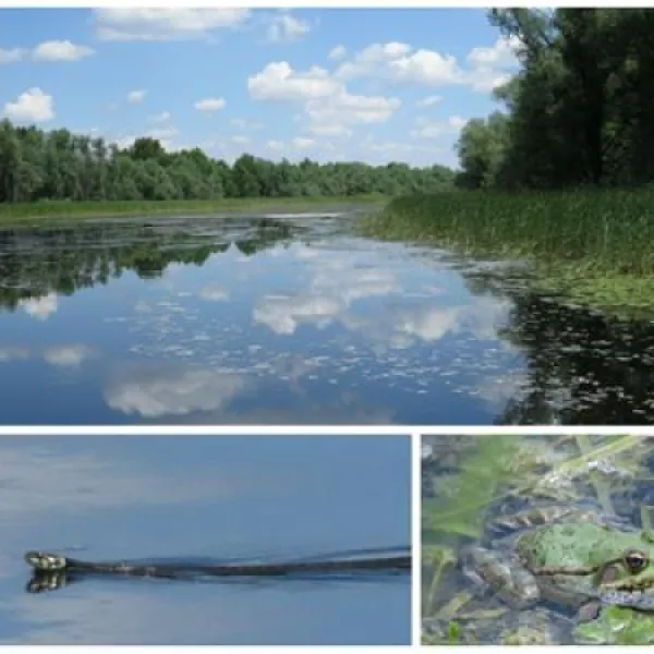 camping-zasavica-sremska-mitrovica-zasavica-ii-bblco