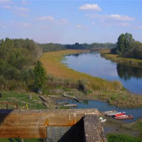 camping-zasavica-sremska-mitrovica-zasavica-ii-cxkoe