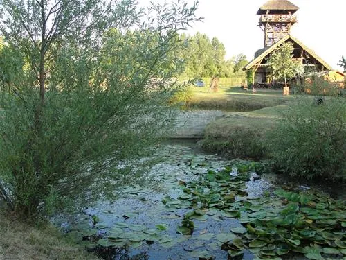 camping-zasavica-sremska-mitrovica-zasavica-ii-enan4