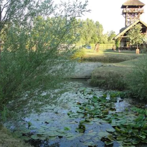 camping-zasavica-sremska-mitrovica-zasavica-ii-enan4