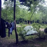 camping-zasavica-sremska-mitrovica-zasavica-ii-eoqsk