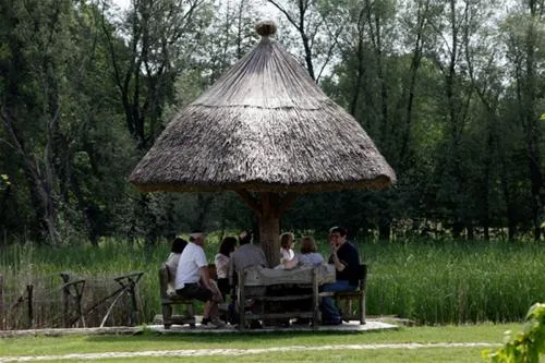 camping-zasavica-sremska-mitrovica-zasavica-ii-h8zhs