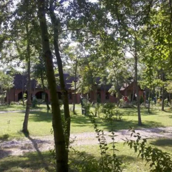 camping-zasavica-sremska-mitrovica-zasavica-ii-irhcm