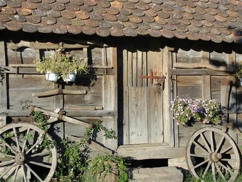 camping-zasavica-sremska-mitrovica-zasavica-ii-iwogb