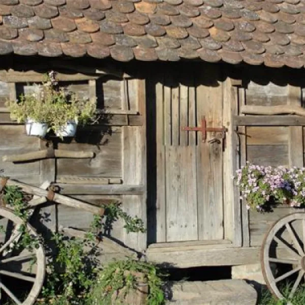 camping-zasavica-sremska-mitrovica-zasavica-ii-iwogb