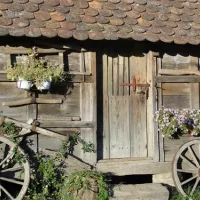 camping-zasavica-sremska-mitrovica-zasavica-ii-iwogb