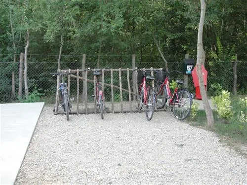 camping-zasavica-sremska-mitrovica-zasavica-ii-kfnvz