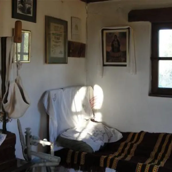 camping-zasavica-sremska-mitrovica-zasavica-ii-miryw
