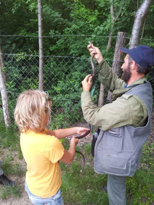 camping-zasavica-sremska-mitrovica-zasavica-ii-ndcnw