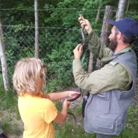 camping-zasavica-sremska-mitrovica-zasavica-ii-ndcnw