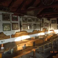 camping-zasavica-sremska-mitrovica-zasavica-ii-no3t5