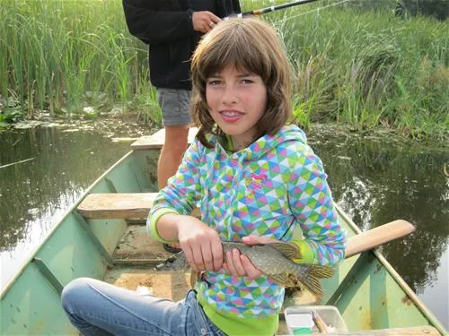 camping-zasavica-sremska-mitrovica-zasavica-ii-nospk