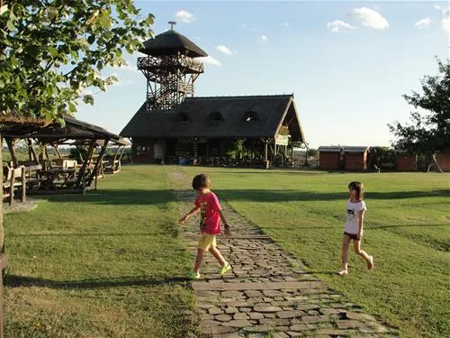 camping-zasavica-sremska-mitrovica-zasavica-ii-pomrj