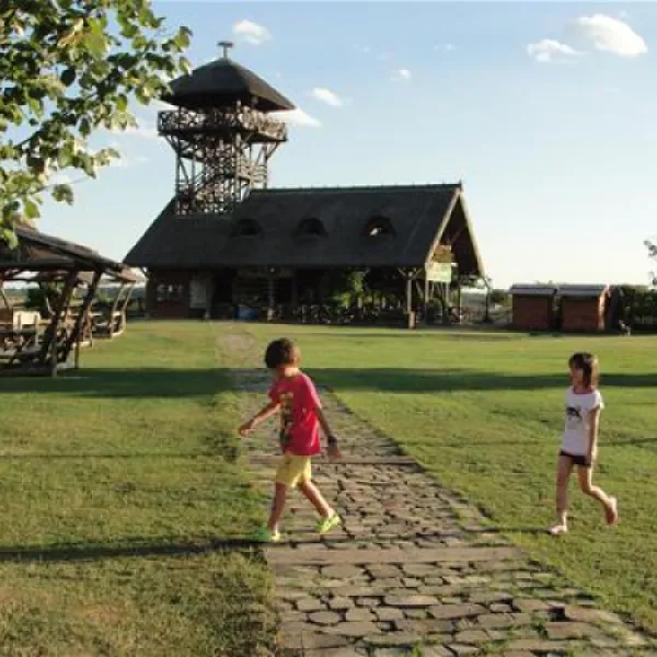 camping-zasavica-sremska-mitrovica-zasavica-ii-pomrj