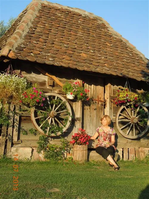 camping-zasavica-sremska-mitrovica-zasavica-ii-qebtx