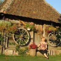camping-zasavica-sremska-mitrovica-zasavica-ii-qebtx