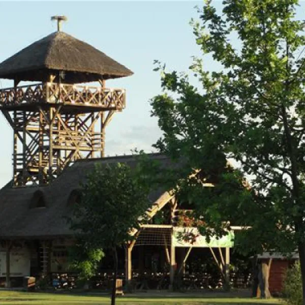 camping-zasavica-sremska-mitrovica-zasavica-ii-sz4x1
