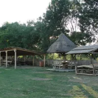 camping-zasavica-sremska-mitrovica-zasavica-ii-tea3s