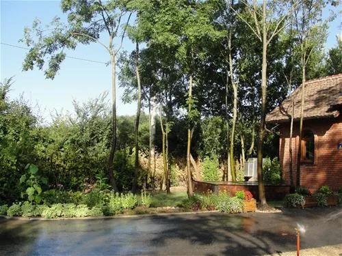 camping-zasavica-sremska-mitrovica-zasavica-ii-tprkn