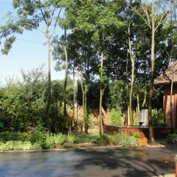 camping-zasavica-sremska-mitrovica-zasavica-ii-tprkn