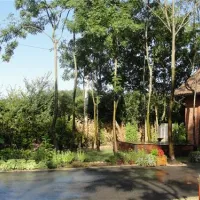 camping-zasavica-sremska-mitrovica-zasavica-ii-tprkn