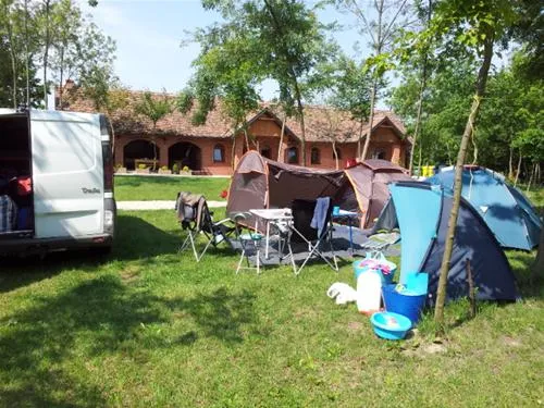 camping-zasavica-sremska-mitrovica-zasavica-ii-xyczo