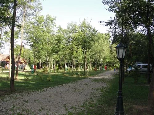 camping-zasavica-sremska-mitrovica-zasavica-ii-yfuze