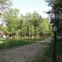 camping-zasavica-sremska-mitrovica-zasavica-ii-yfuze