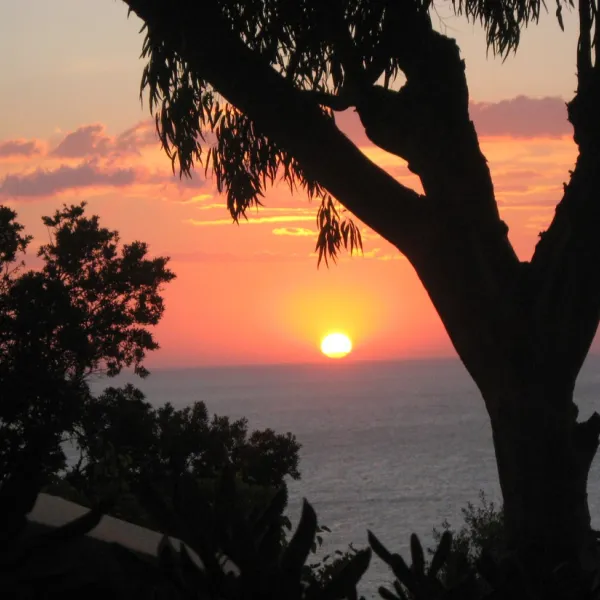 scaglieri-village-camping--resort-scaglieribiodola-0epns