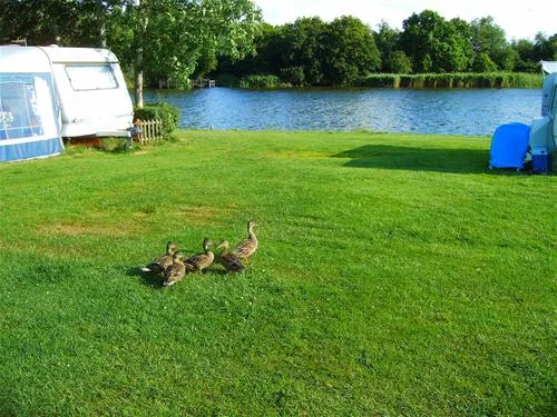 camping-de-kleine-wielen-leeuwarden-kbv0g