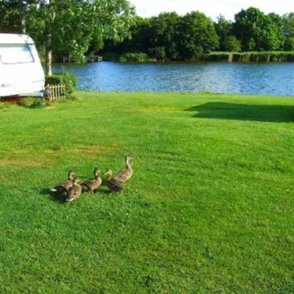 camping-de-kleine-wielen-leeuwarden-kbv0g