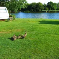 camping-de-kleine-wielen-leeuwarden-kbv0g